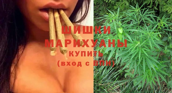 прущий лед Нея